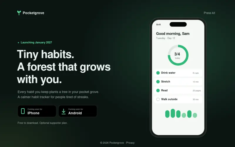 Screenshot of the App Launch template